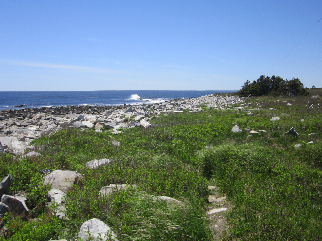 Western Head Lighthouse-Liverpool必去景点