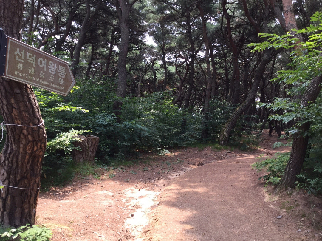 Royal Tomb of Queen Seondeok-庆州市必去景点