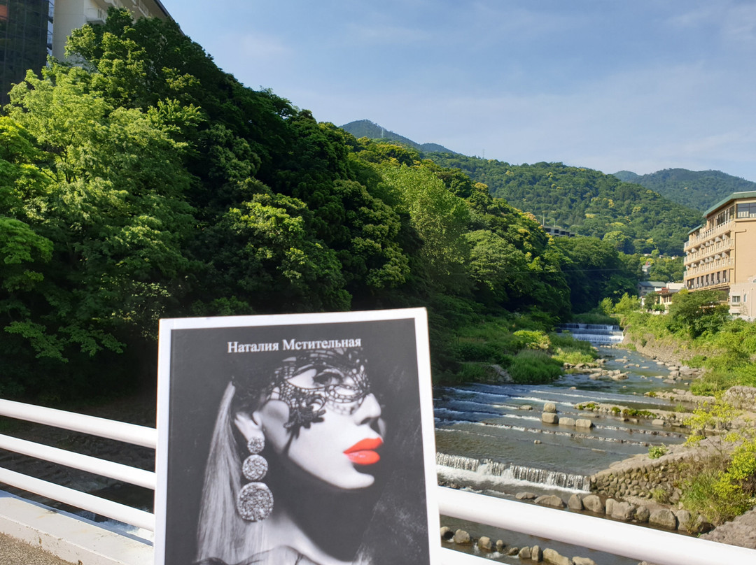 汤本富士屋酒店主图