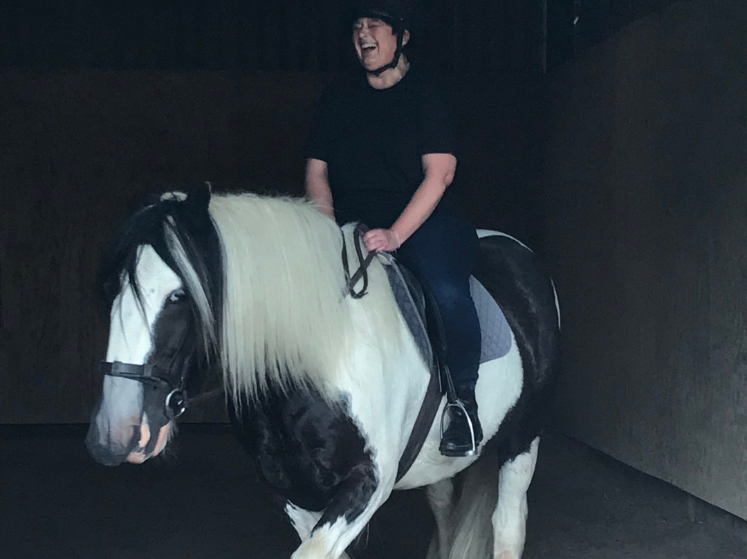 Bardwell Manor Equestrian Center-Bardwell必去景点