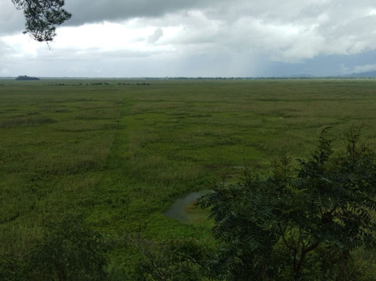 Keibul Lamjao National Park-Bishnupur District必去景点