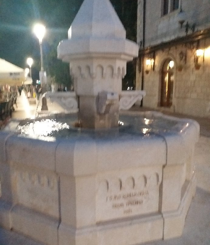 Fountain of Goiko Shishkovich景点图片