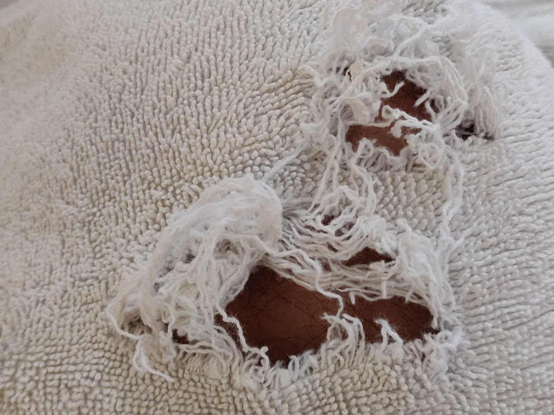 Fairvacanze Inns & Suites主图