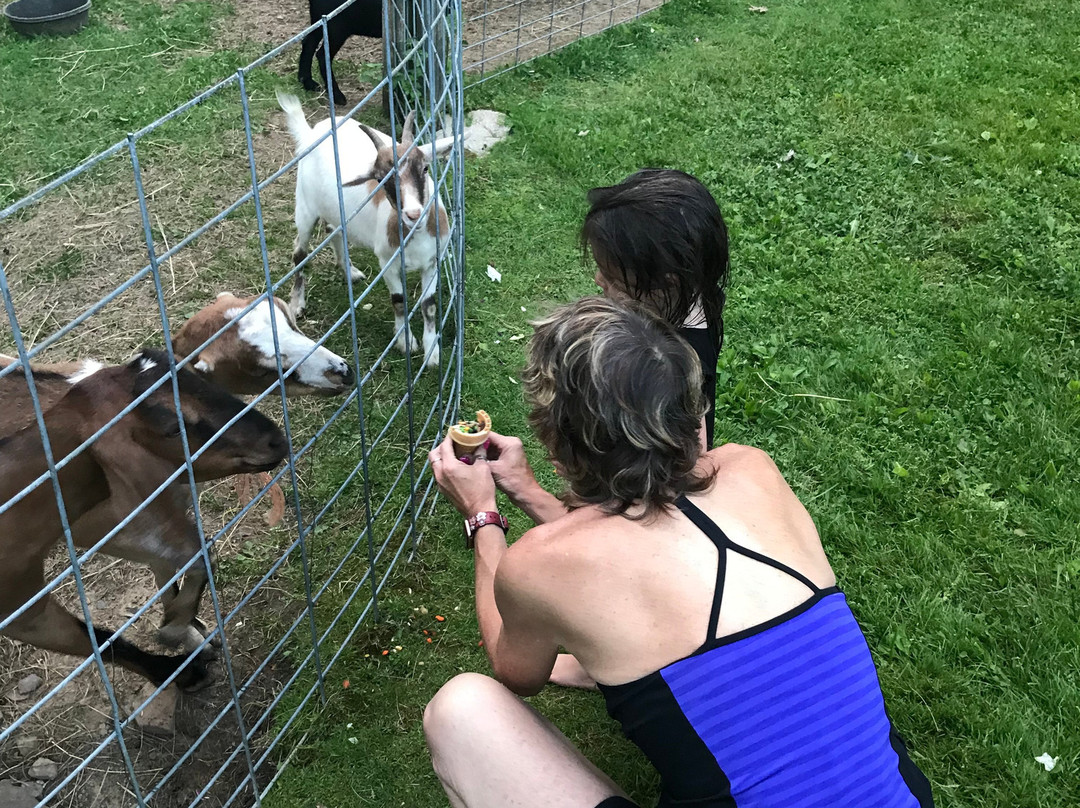 Birchcliff Resort主图