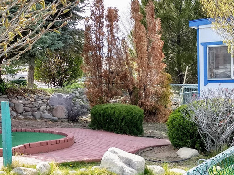 大塞拉利昂度假酒店及赌场主图