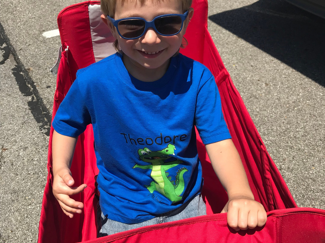 Waterside Inn on the Beach主图