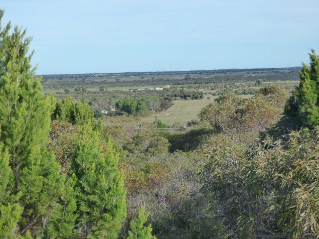 Meningie Lookout-Meningie必去景点