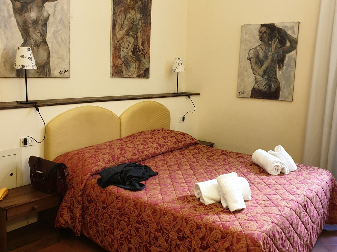 Ferdinando II dei Medici主图