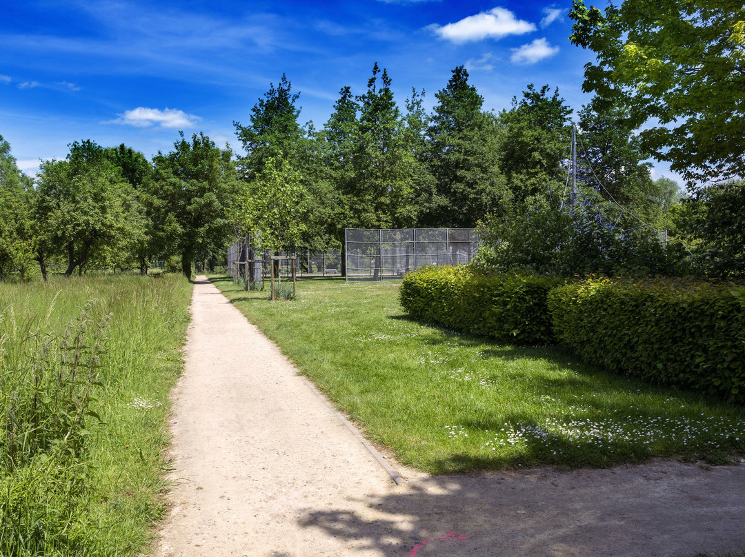 Parc Saint-Pierre景点图片