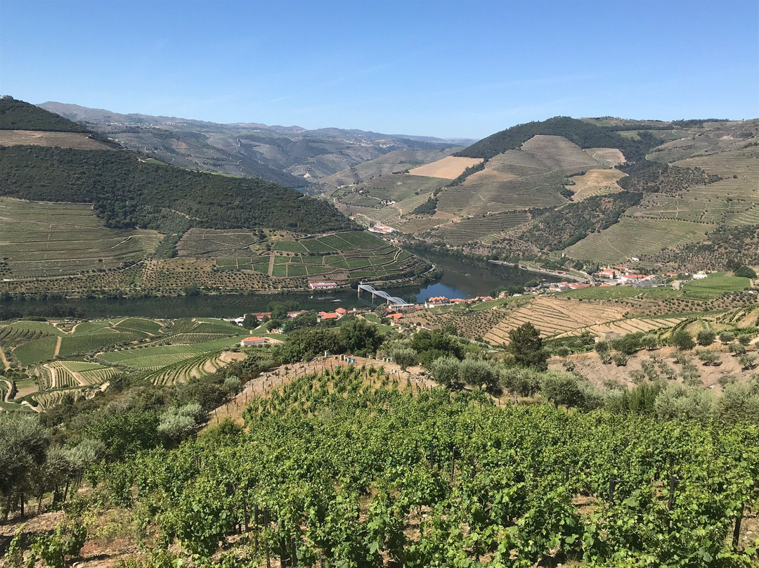 Quinta do Jalloto景点图片