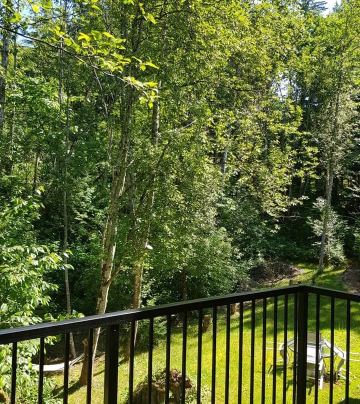 Mt. Woodside Bed & Breakfast主图