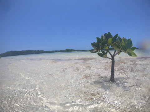 Mayans' Explorers-普拉亚德尔卡曼必去景点