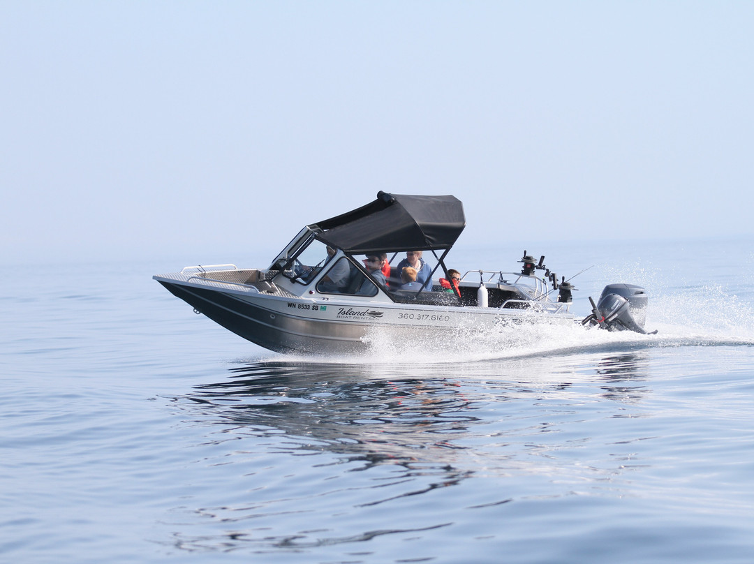 Island Boat Rentals景点图片
