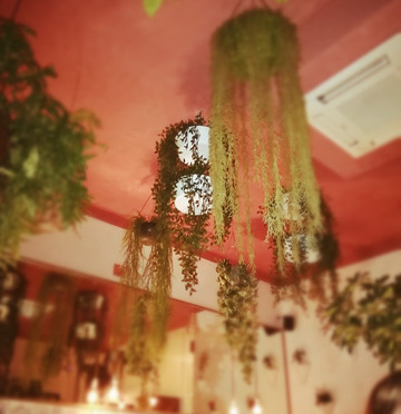 Gatti e re-乌迪内必去景点