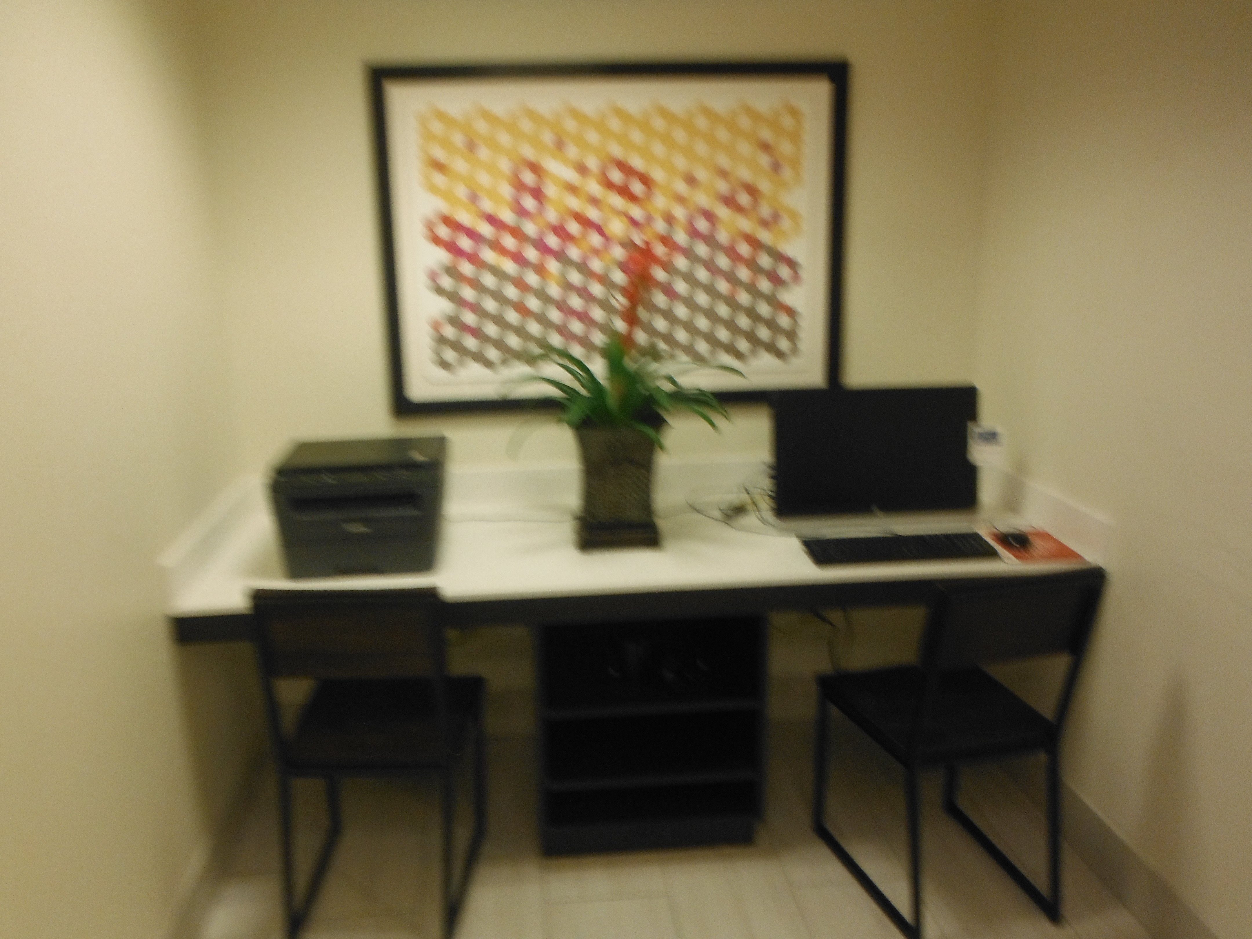 Holiday Inn Express & Suites Charleston - Mount Pleasant By IHG-商务中心/多功能厅