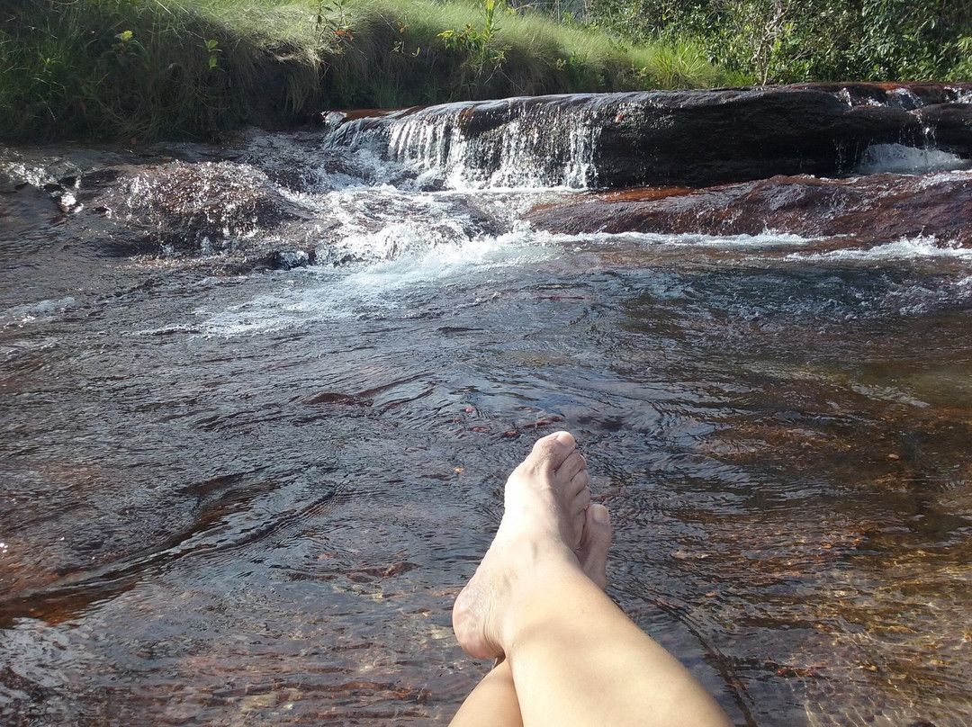Serra do Roncador景点图片