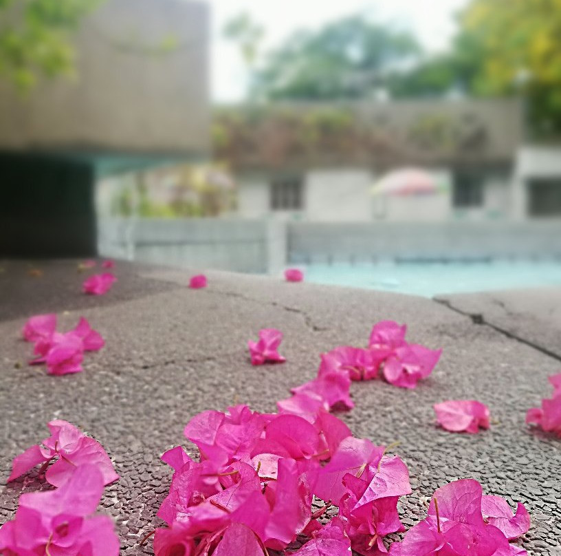 Premiere Hotel主图