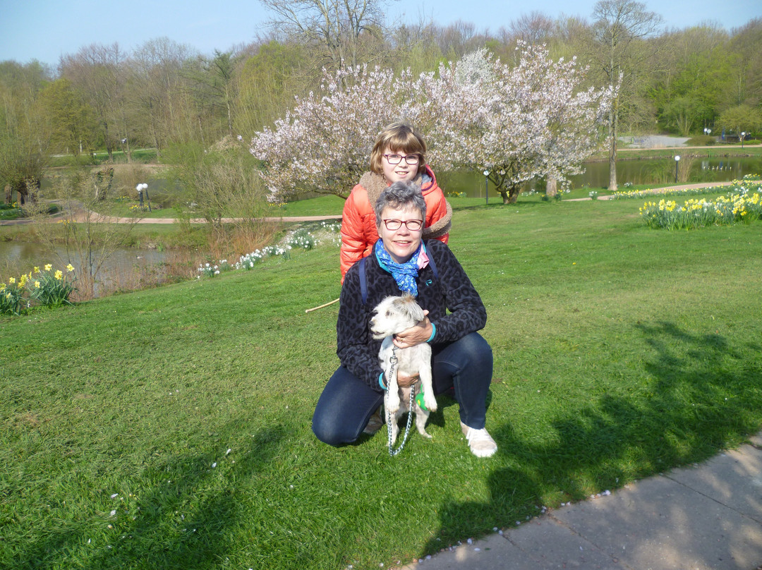 玛丽蒂姆巴特萨森多夫酒店主图