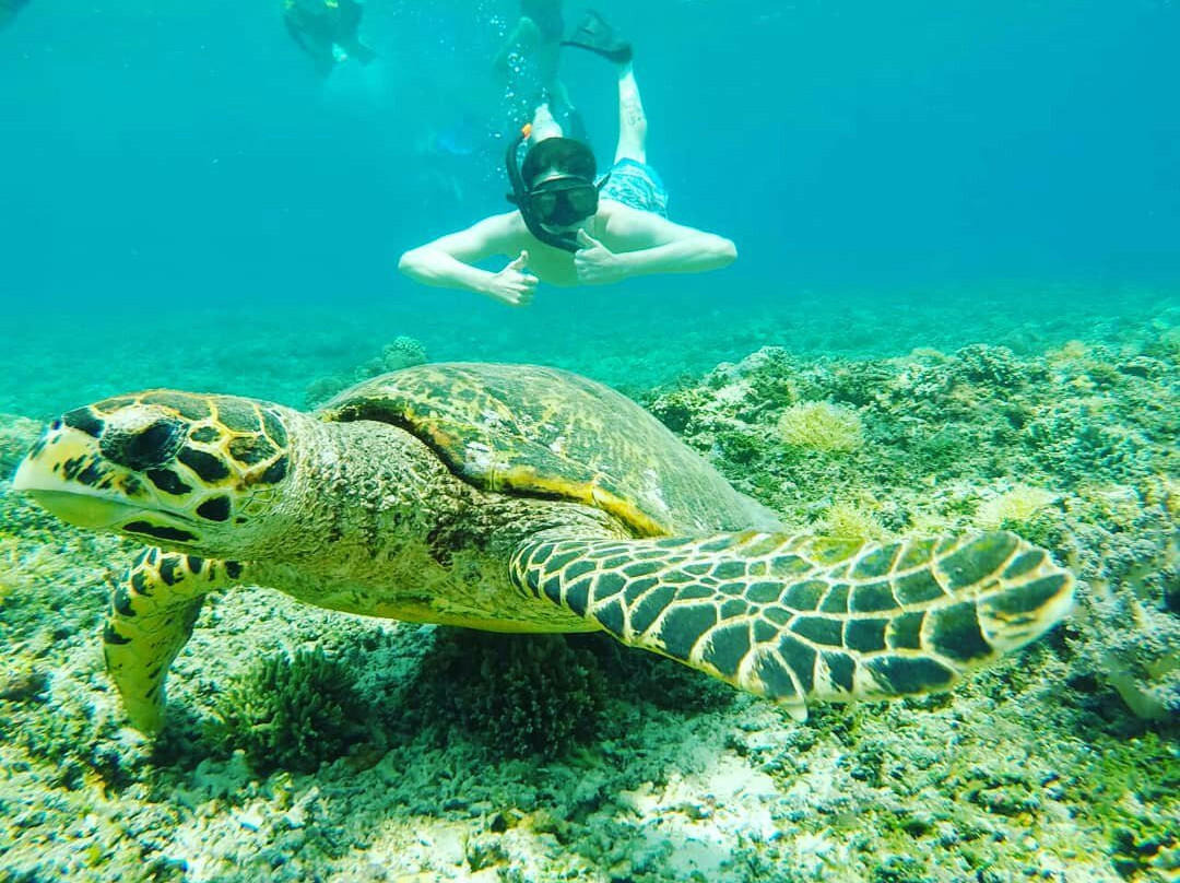 Wisata Lombok Island-龙目岛必去景点