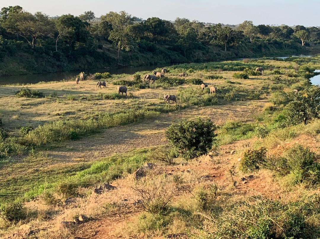 Belvedere-on-River主图