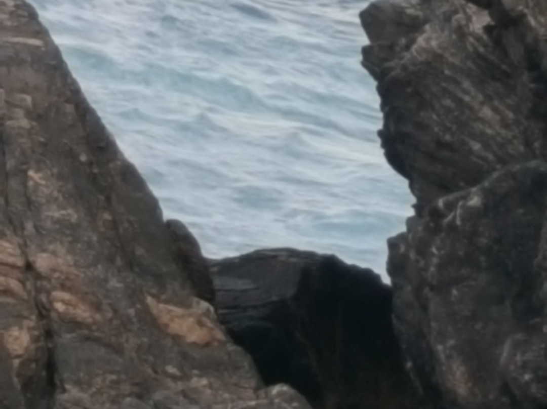 Ponta da Lagoinha-布基亚斯必去景点