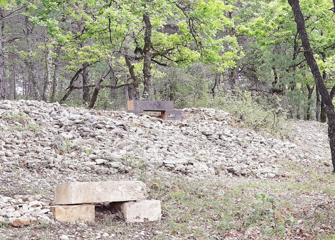 La Maison des Bois主图