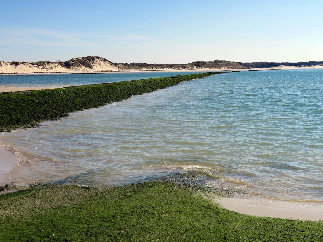 Office de Tourisme de Berck-sur-Mer-Berck必去景点