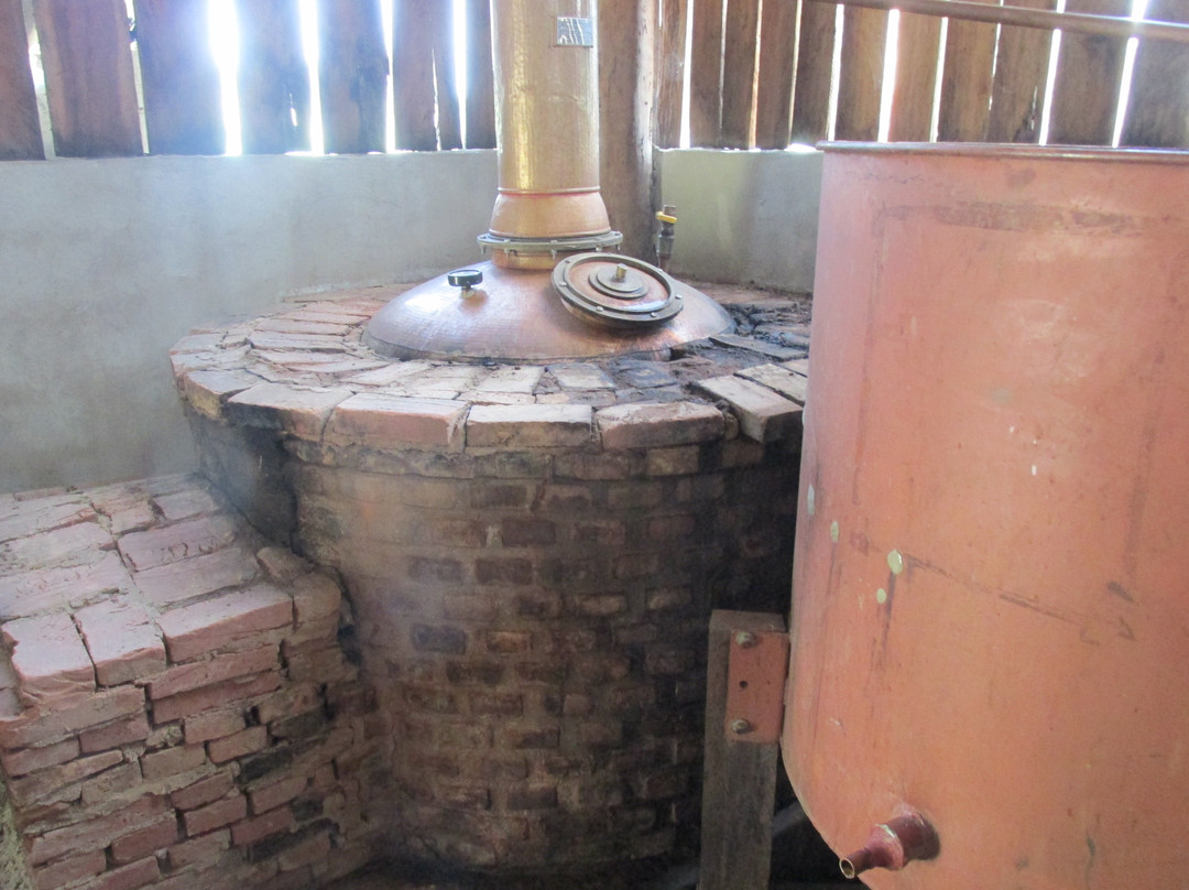 Cachaca Pilao de Pedra-Bueno Brandao必去景点