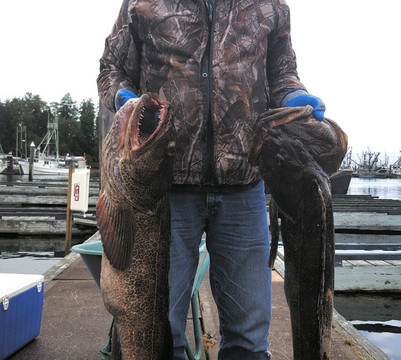 Fish Harder Charters-哈迪港必去景点