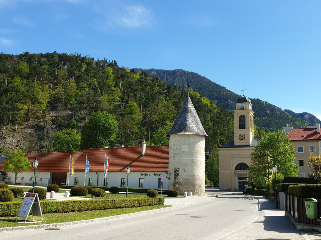 Schloss Reichenau景点图片
