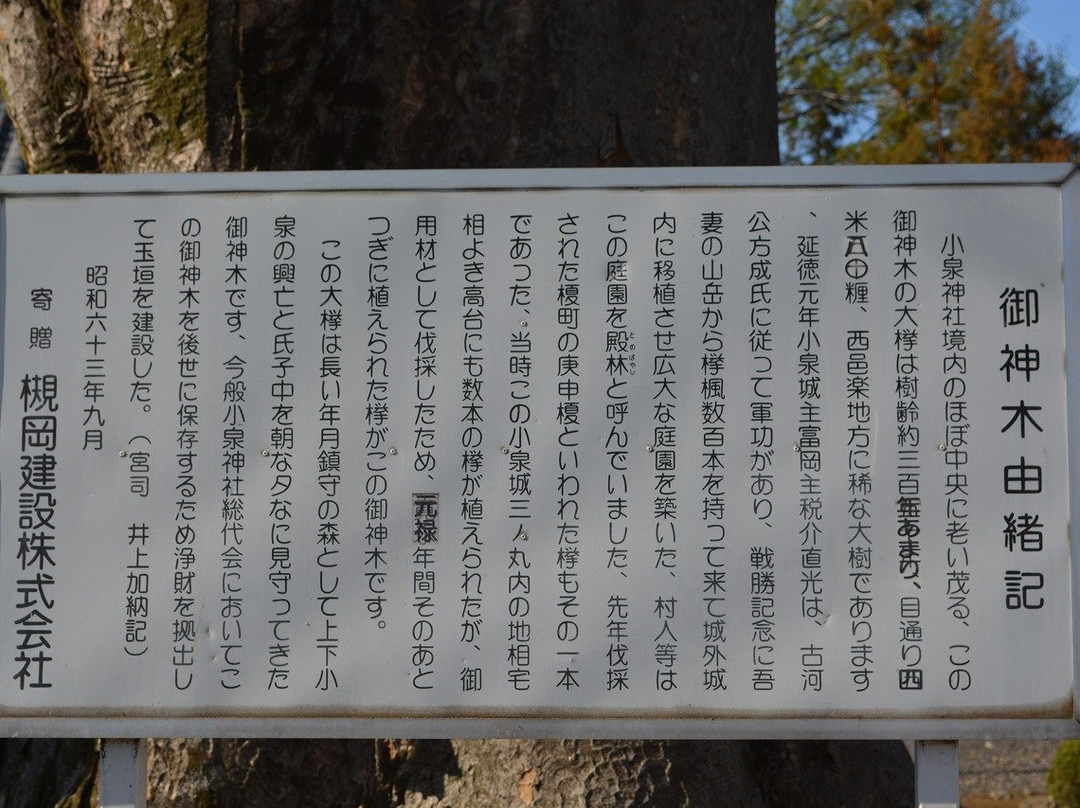 Koizumi Shrine景点图片