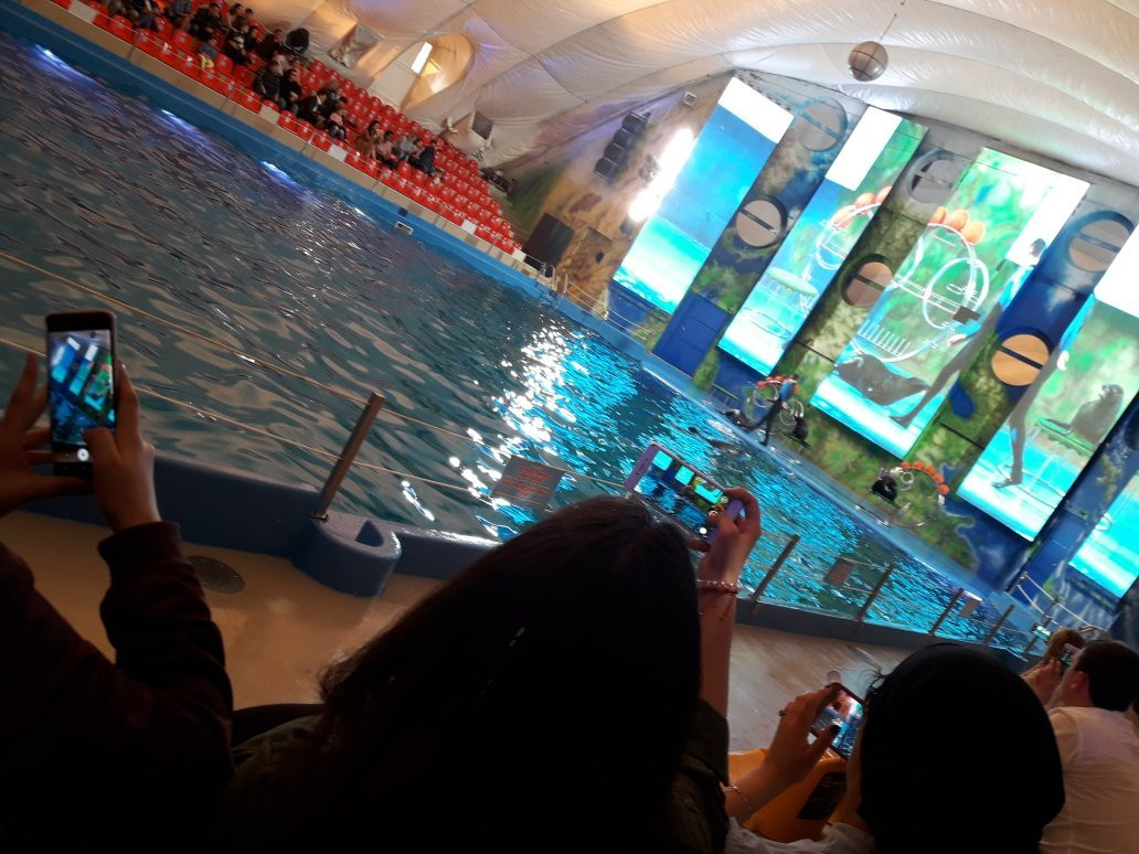 NEMO Hotel Resort & SPA主图