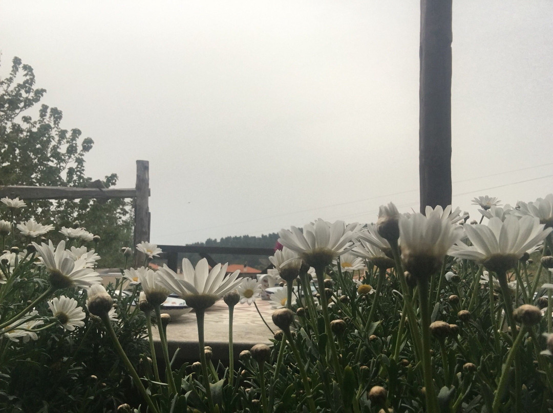 Kalnterimi-Parthenonas必去景点