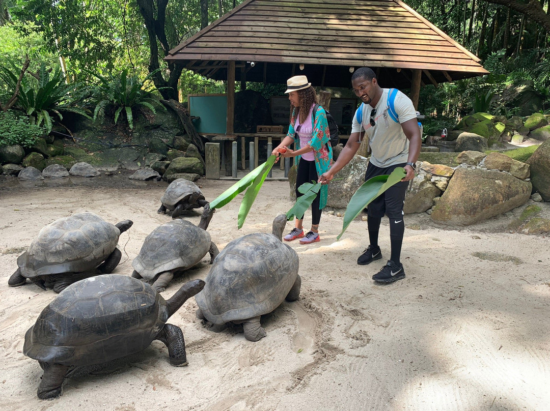 Seychelles Taxi, Tour & Music Entertainment景点图片