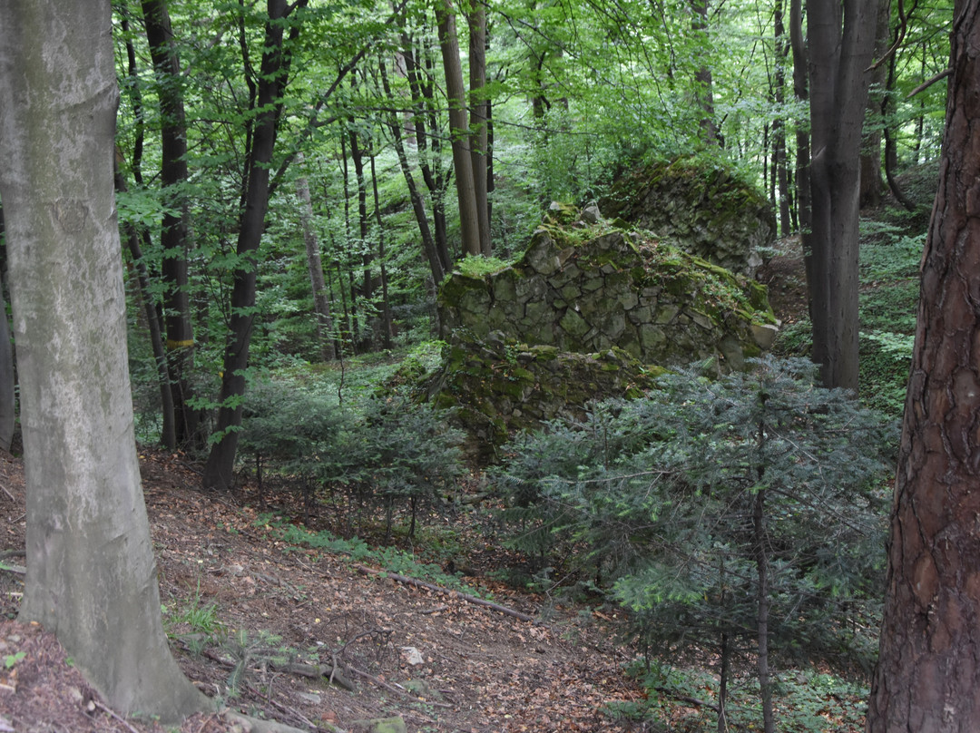 Rezerwat przyrody Zamczysko nad Raba景点图片