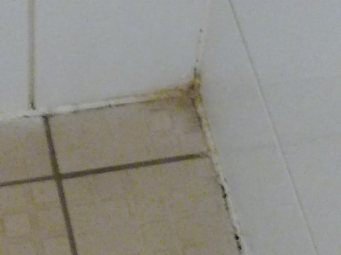 莱昂纳多利兹酒店主图