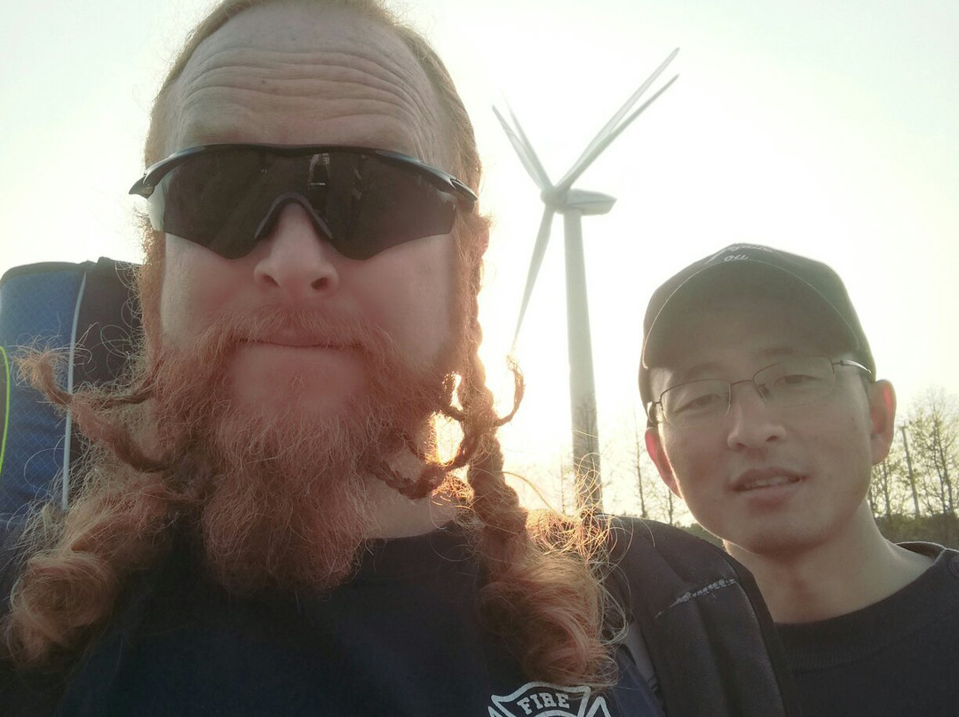 崇明东滩自然保护区-崇明县必去景点