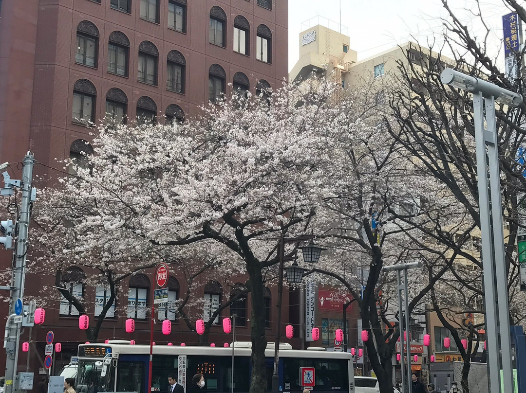 Nakano Street-中野区必去景点