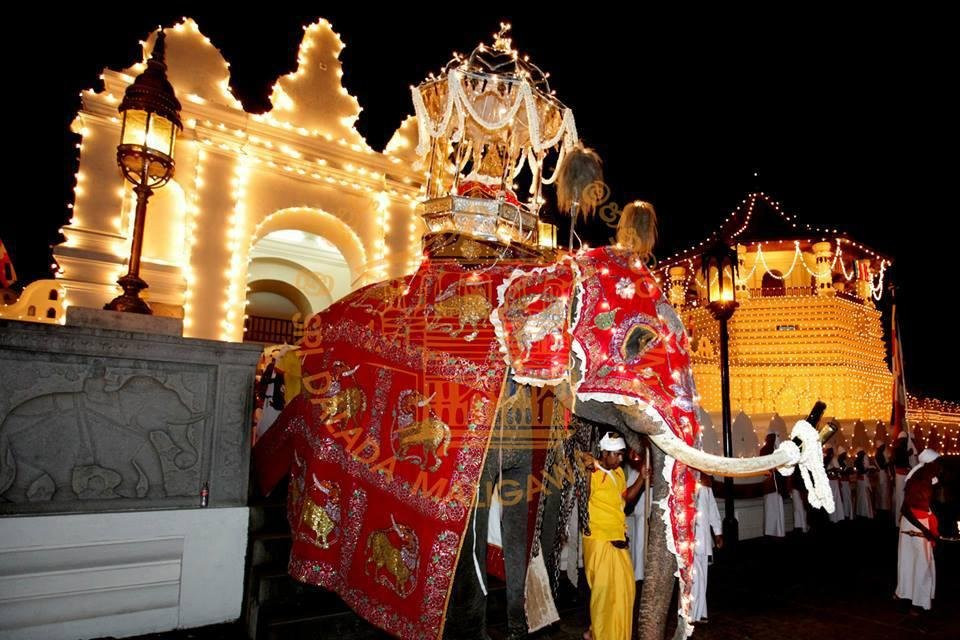 ceylanka tours景点图片