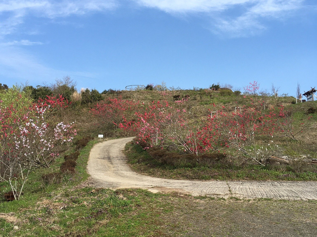 Mt. Aguri-伊万里市必去景点