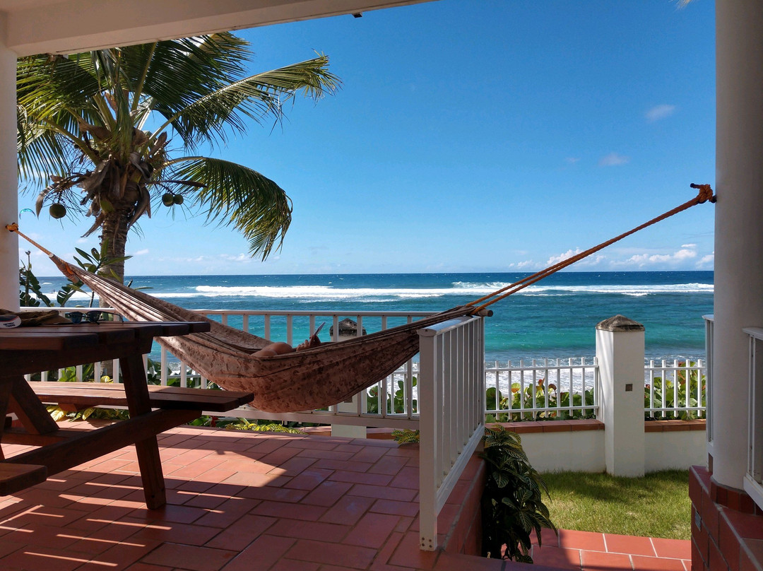 Villa Tropical Oceanfront Apartments on Shacks Beach主图