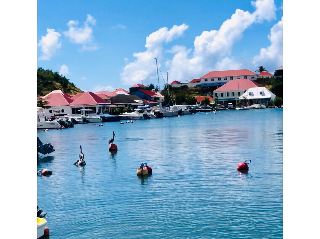 Plongee Caraibes Catamaran-居斯塔维亚必去景点