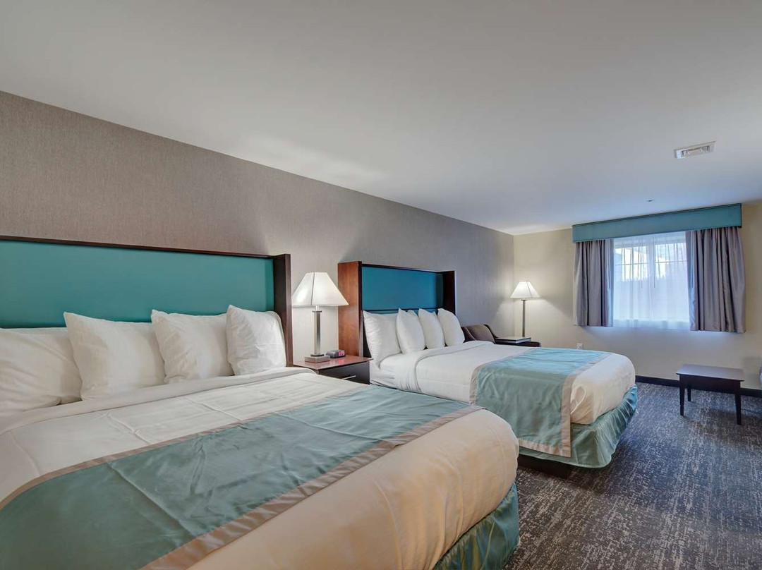 Best Western Hampshire Inn & Suites主图