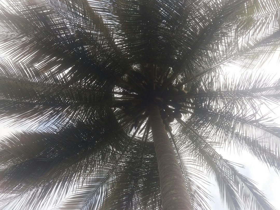 Pousada dos Guaras主图