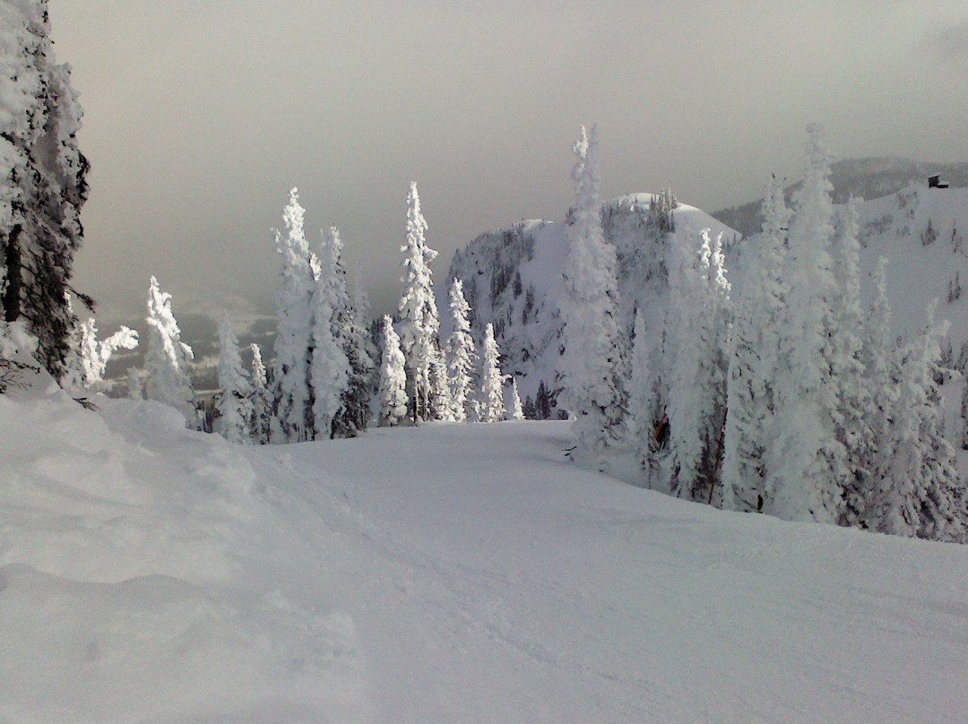 Holley Lane Bed and Breakfast主图