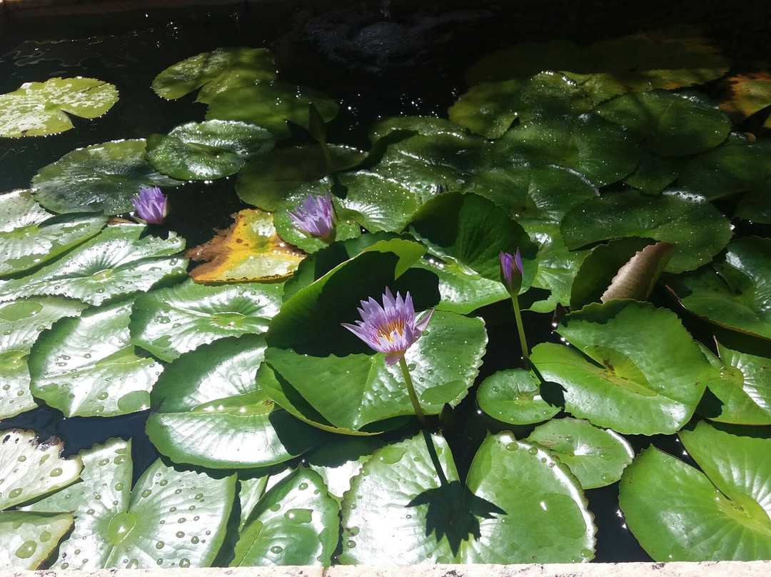 Museu de Arqueologia Ciro Flamarion Cardoso-Ponta Grossa必去景点