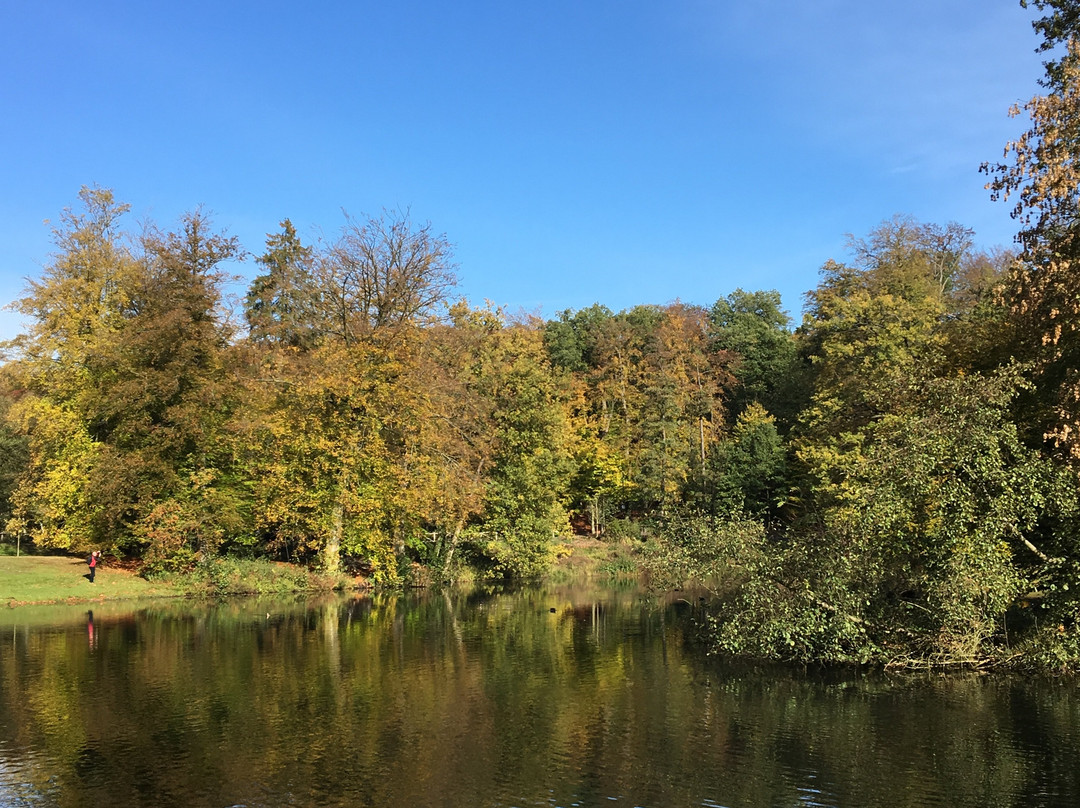 Park Sonsbeek-阿纳姆必去景点