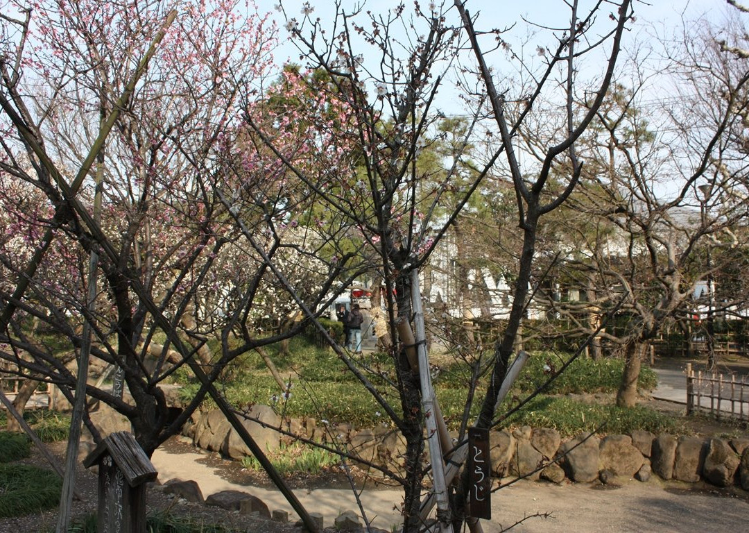 Seiseki Kamata Umeyashiki Park-Kamata必去景点