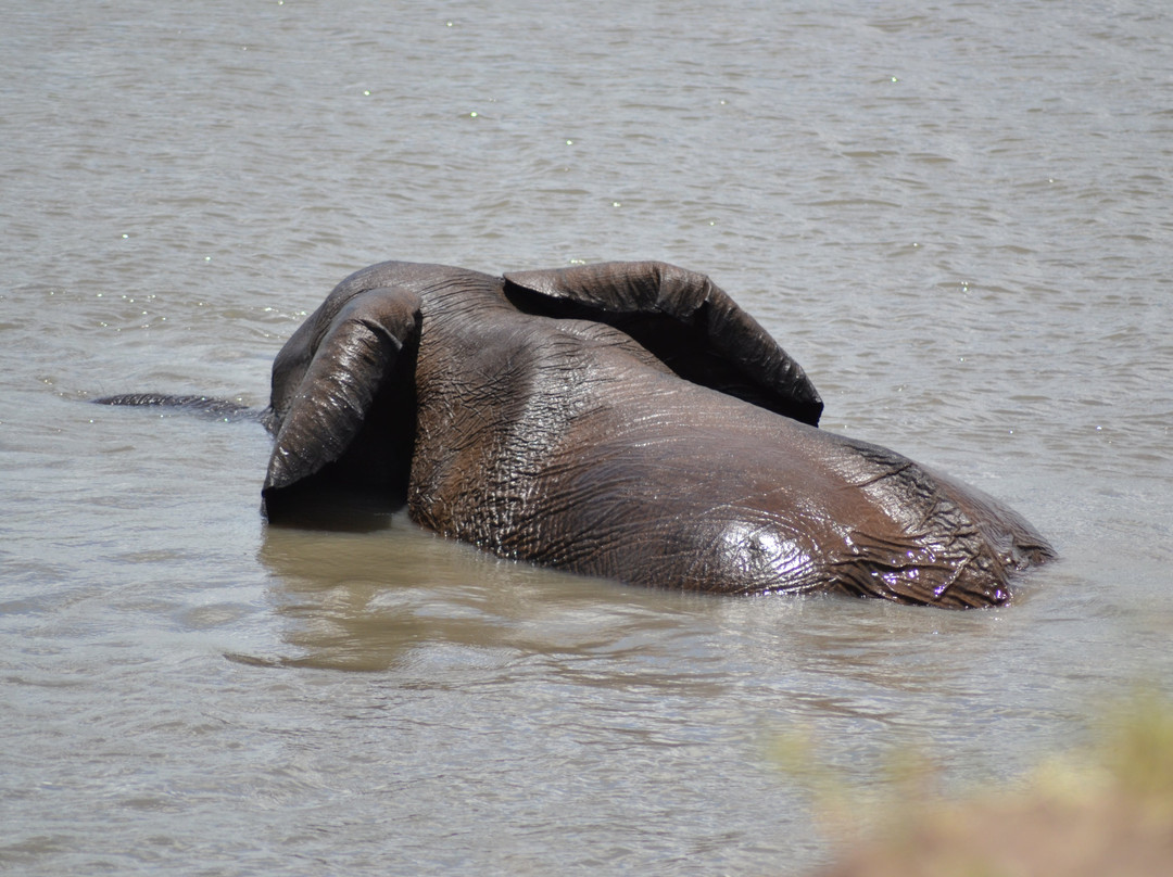 Muizenberg Tours and Travel-开普敦中心区必去景点