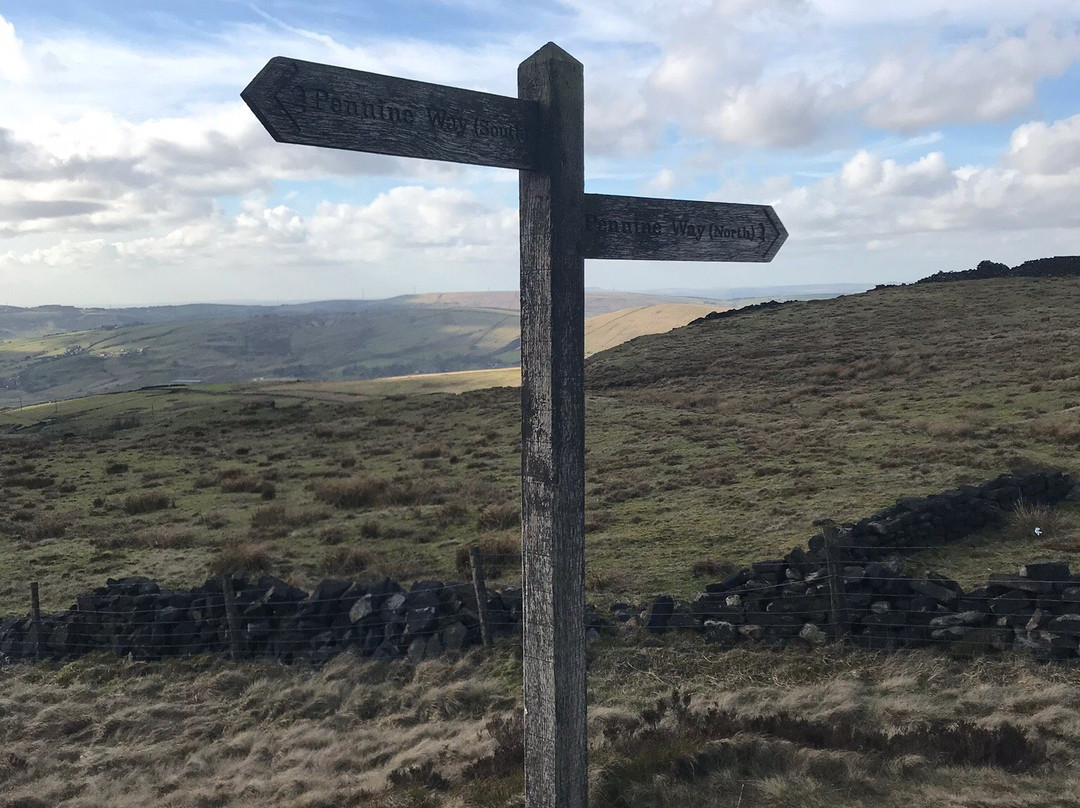 Marsden Moor Estate景点图片